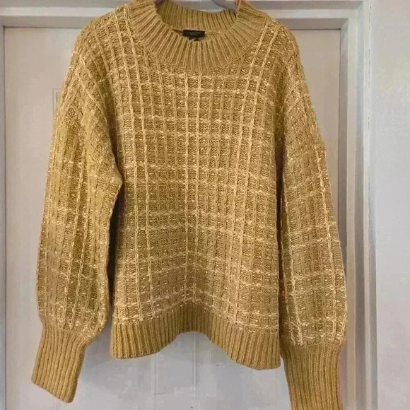 Ann Taylor Crewneck Long Sleeve Knit Sweater Champagne Tan Womens Size XL - Picture 2 of 9